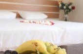 img_7315 img_7315